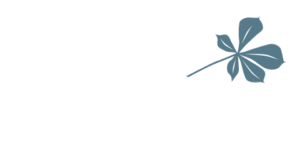 Praxis am Park - Logo weiss